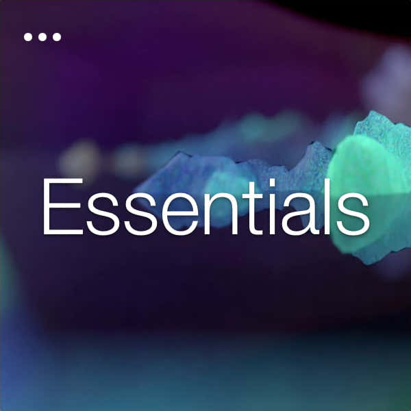 Essentials-bundel