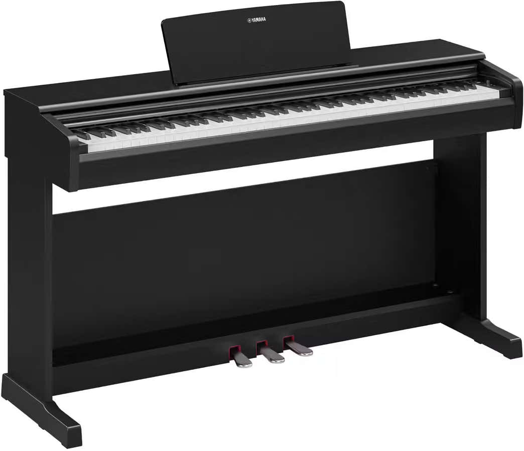 YDP-146 Noir