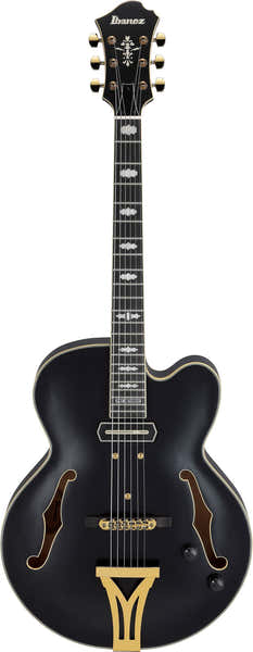 PM3C Signature Pat Metheny Zwart Laagglans