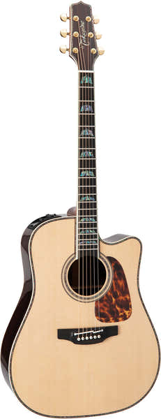 Takamine Dreadnought Cutaway Elektro P10DC