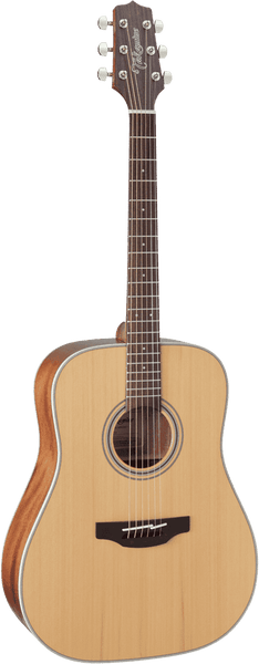 Takamine Gd20 Natural