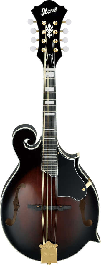 M522SDVS Donkere viool-Sunburst hoogglans