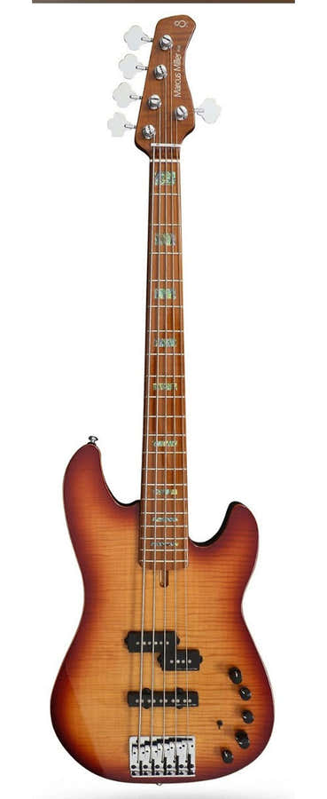 P10 Alder-5 Ts En