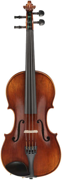 Gewa Sonata Deluxe Europa Viool 4/4