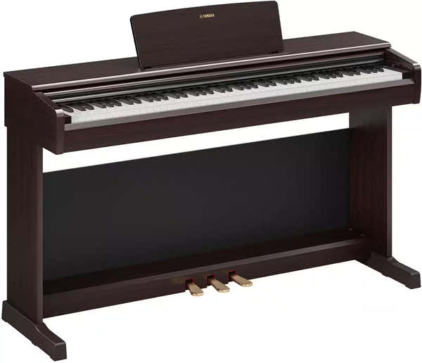 Arius YDP-146 Palissandre