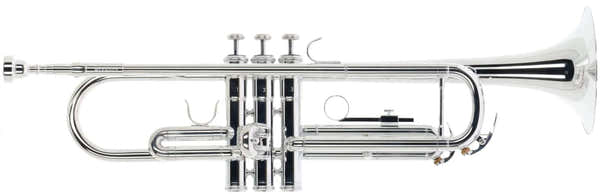 WTP400S - Bes Verzilverde