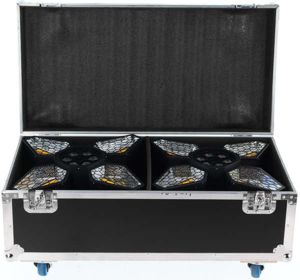 Algam Lighting Flight Case pour Vintage Flower FC2