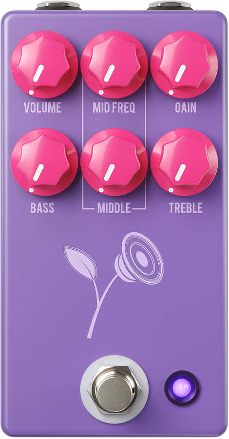 VIOLET DISTORSION LARI BASILIO - PURPLE