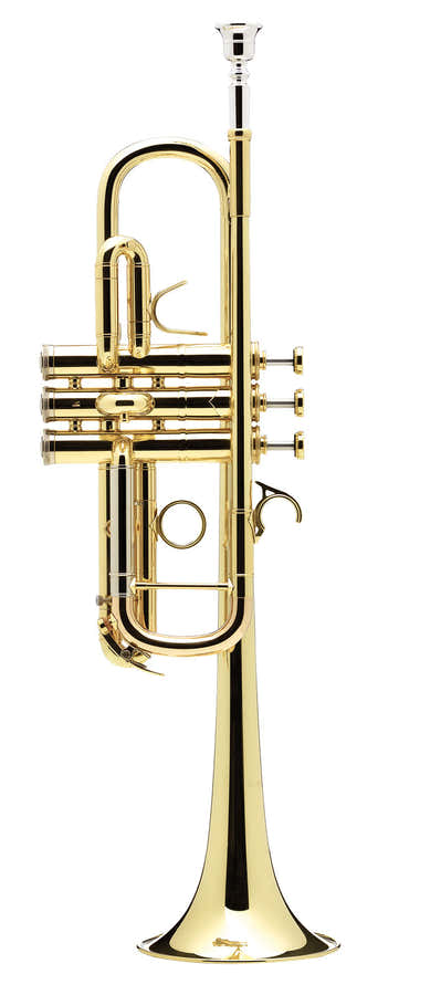 Confluence Ut Vernie - AC335CML-1-0