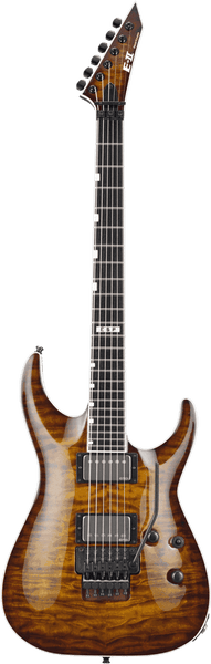 ESP 2Hori2Fr-Tesb Sunburst