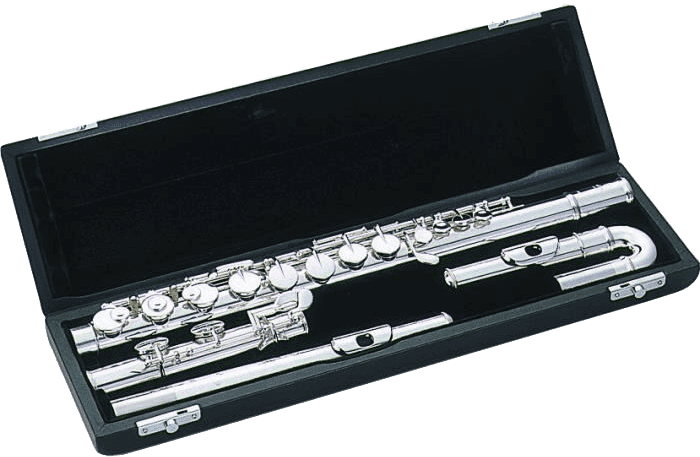 Tfcau Etui - Flute Alto + 2 Tetes