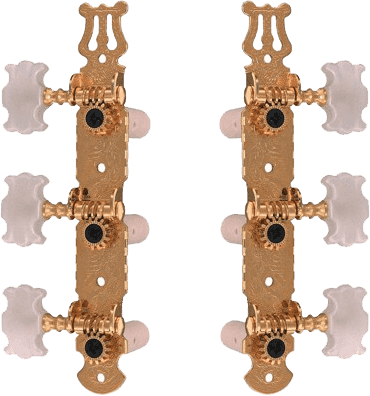 6 Mécaniques Guitare Classique Dorées