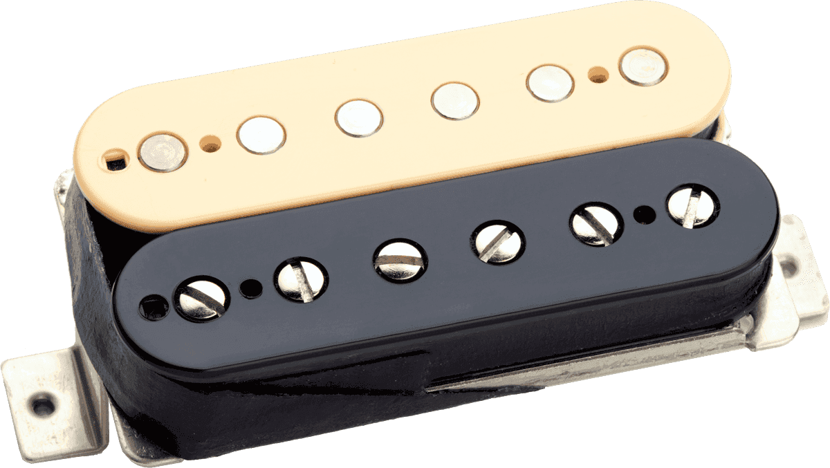 Duncan Distortion Chevalet Reverse Zebra