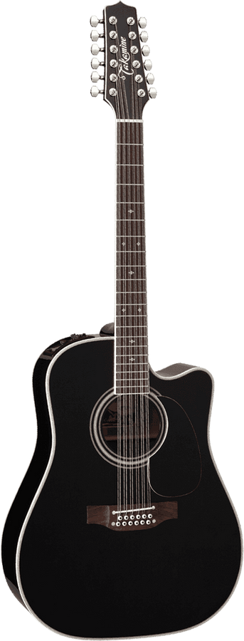 Japon EF381sc Black 12-cordes
