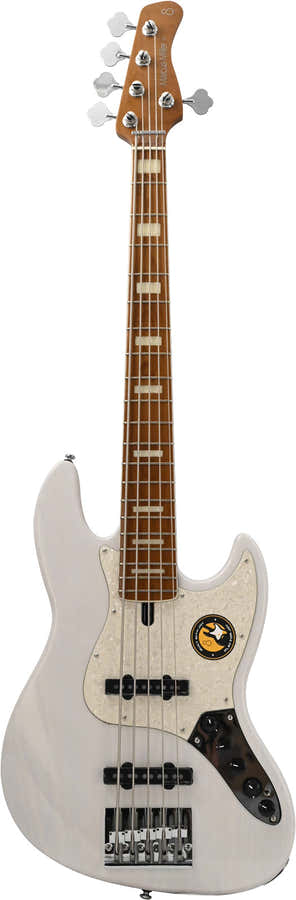 V8 Swamp Ash-5 Wb Mn + Housse