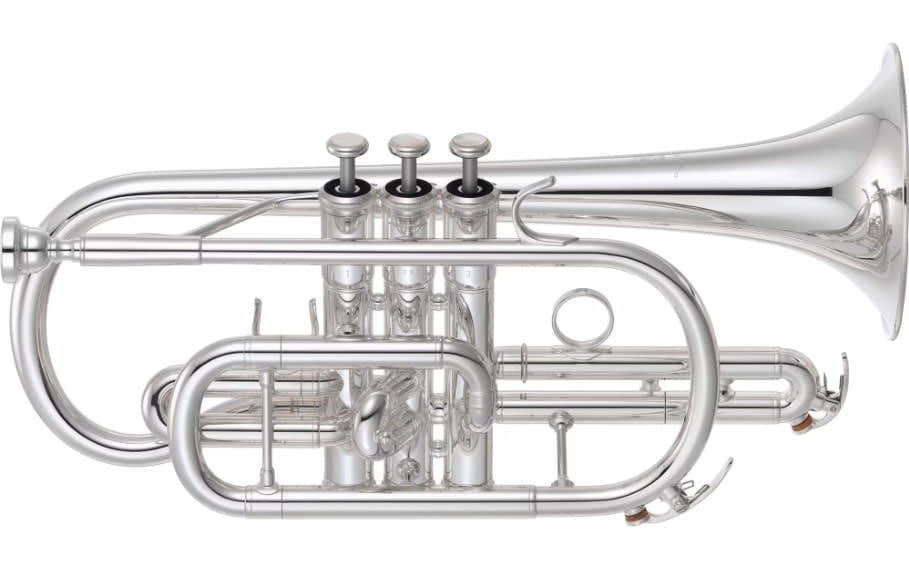 YCR6335SII Bes Verzilverde