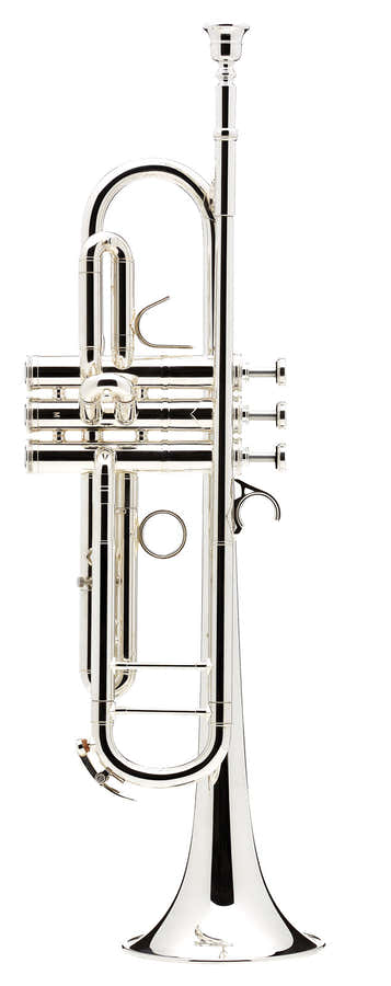 Confluence Bes Verzilverde - AC335BML-2-0