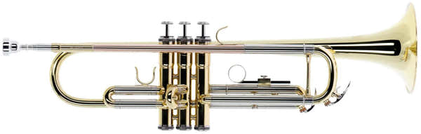 Woodbrass WTP200 - Bb vernist