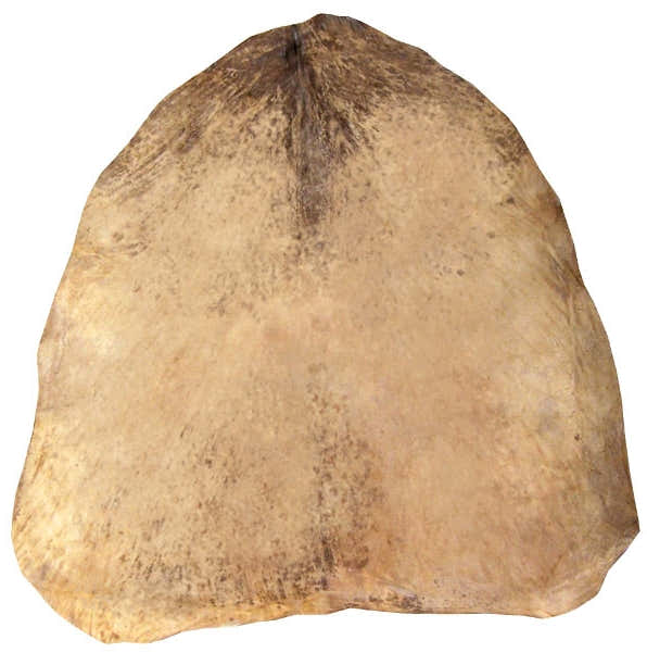 Peau De Chevre