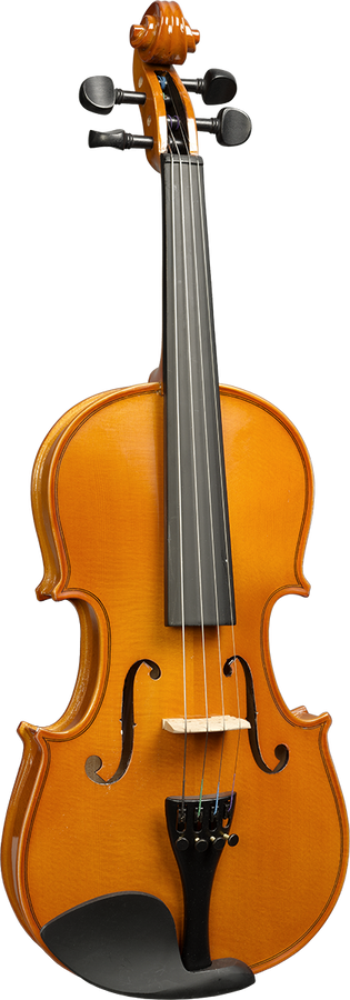 Violon Massif 4/4 (touche Acajou)