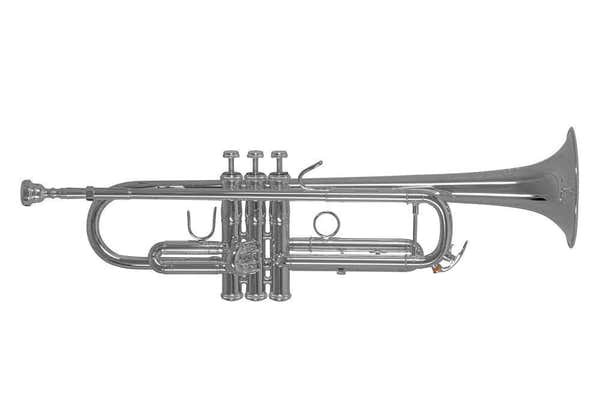 TR450S - Bes Verzilverde