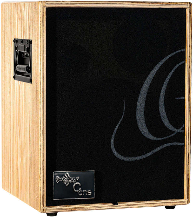 CONE-ash 100W 2 Canaux Rev/Chorus