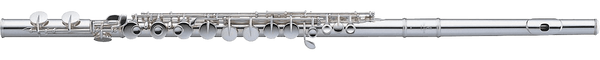 Pearl Flute 201S Alt Quantz - Recht Kopstuk + C-voet