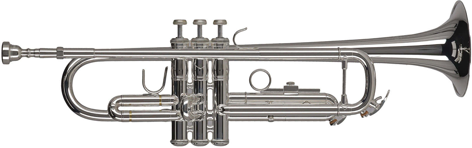Ambition TR650S Bes Verzilverd