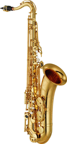 Yamaha YTS-480 - Tenor Bes Gelakt