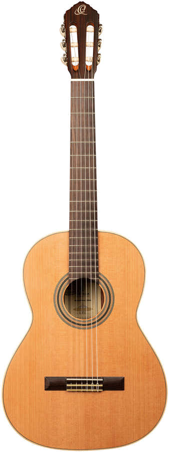 Traditional 4/4 6 LH + Pro-gigbag
