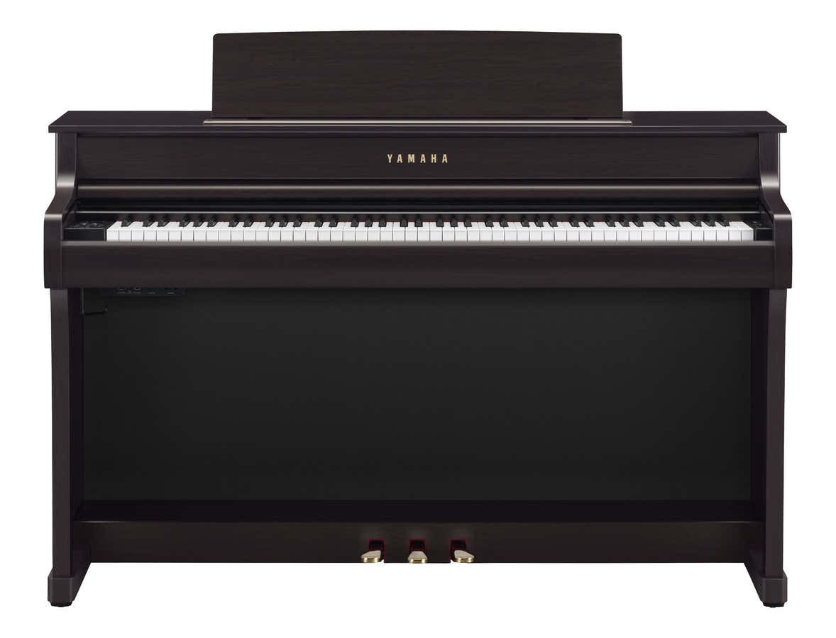 CLP-845 Palissandre