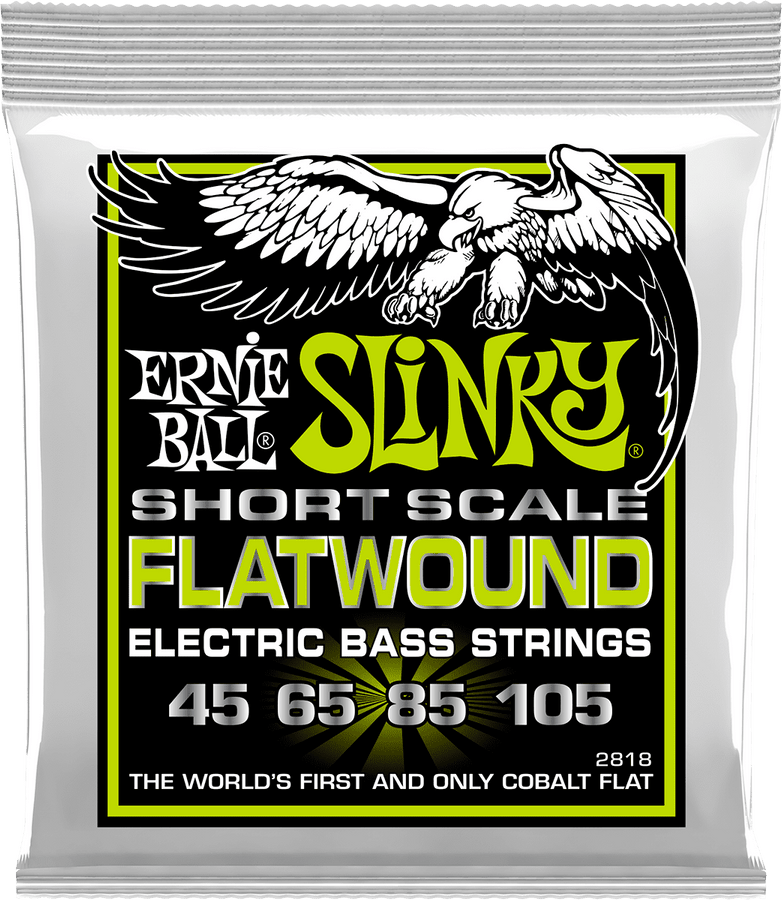 2818 Filet Plat Regular Slinky Flatwound Short Scale 45-105