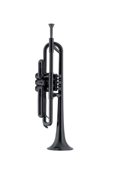 PTRUMPET NOIR
