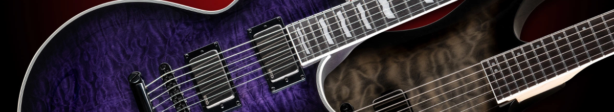 Ltd guitars