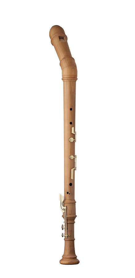 Superio Bass Cerisier 2603