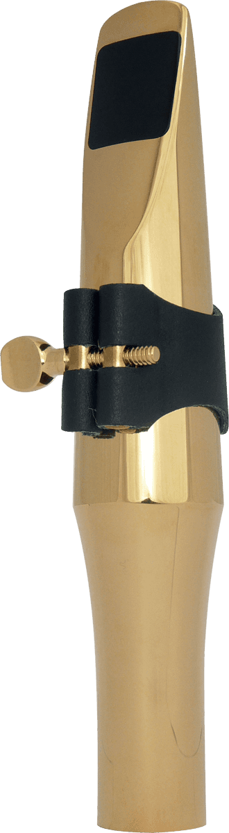Métal Plaquée Or 24K E27 - Baryton
