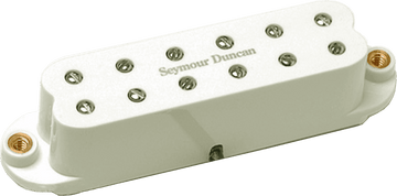 SJBJ-1B-P - JB JUNIOR STRAT TRESTLE PARCHEMIN