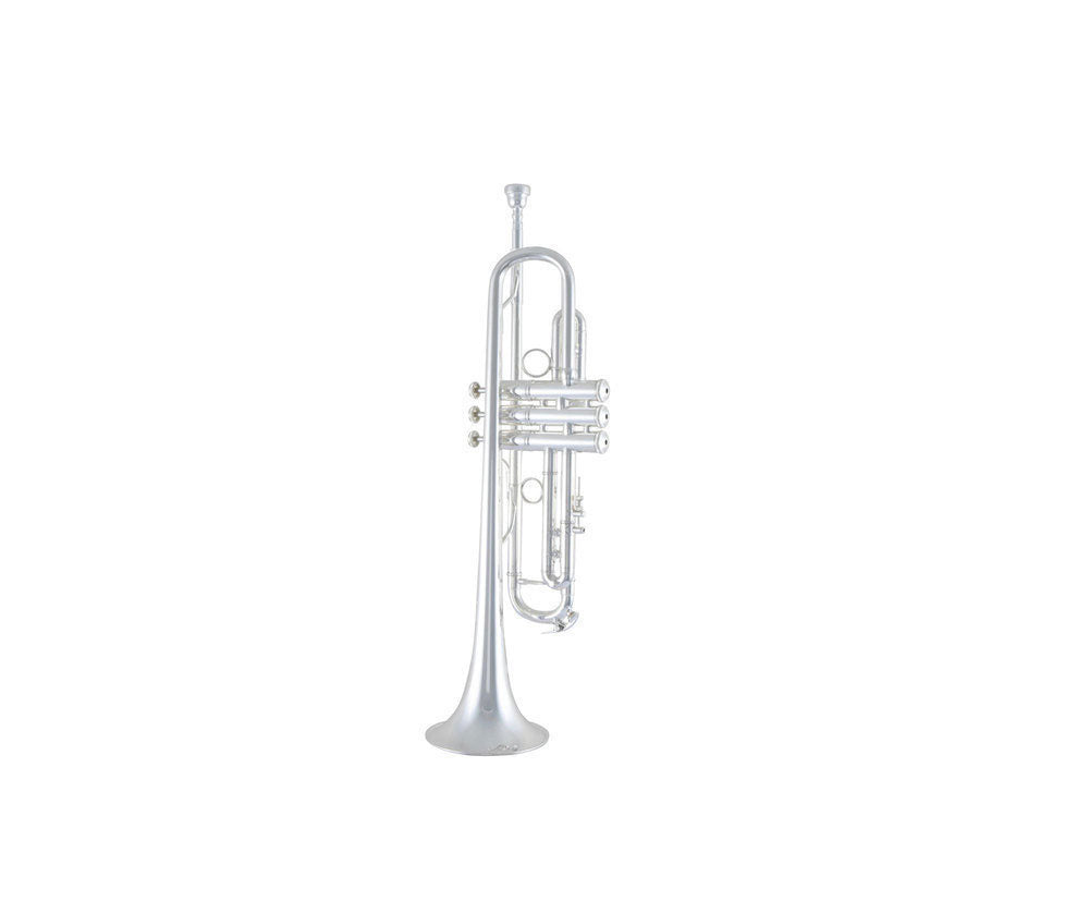LT180S77 Stradivarius New York #7 - Bes Verzilverde