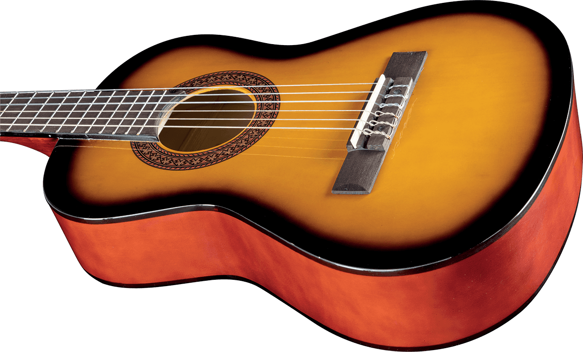 CS-2 1/2 Sunburst + Housse