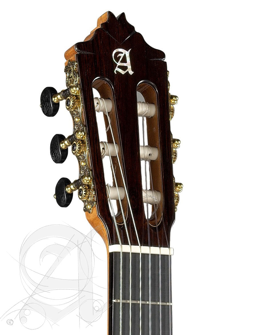Concert 9P CW E8 + 9557 Etui