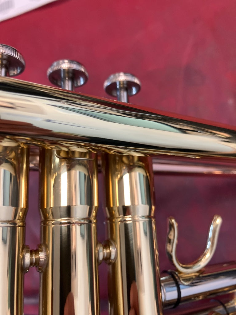 TP300 BB TRUMPET BRASS LACQUERED - ROSE BRASS LEADPIPE - B Stock