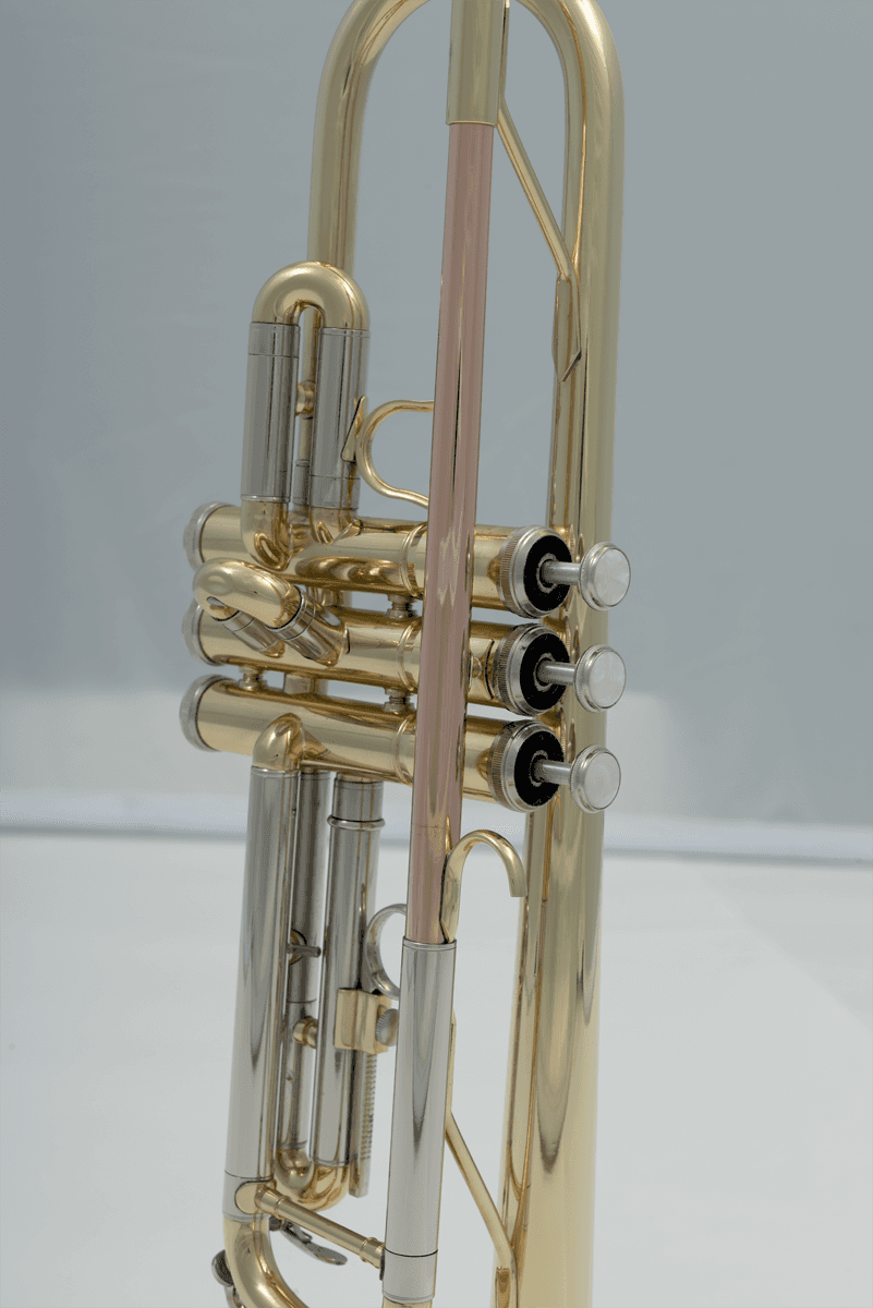 TP300 - Sib Vernie