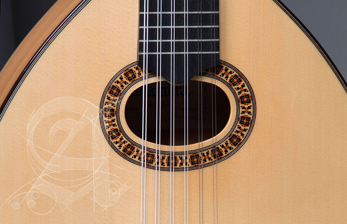Conservatoire L-6Fc Lutes + 9534 Housse
