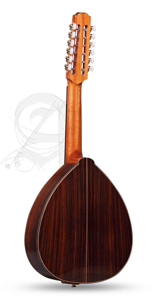 Conservatoire L-4P Lutes + 9534 Housse