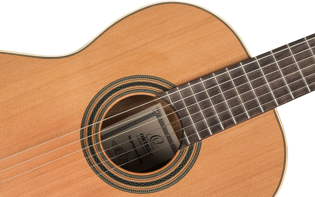 Traditional 4/4 + Pro-gigbag
