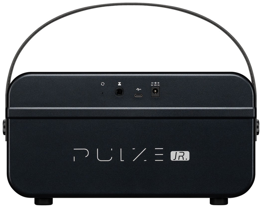 Hotone AP-20BK Pulze Jr. Zwart