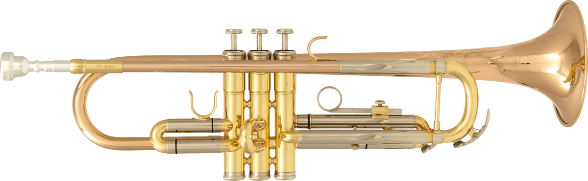 TP600 Sib Vernie