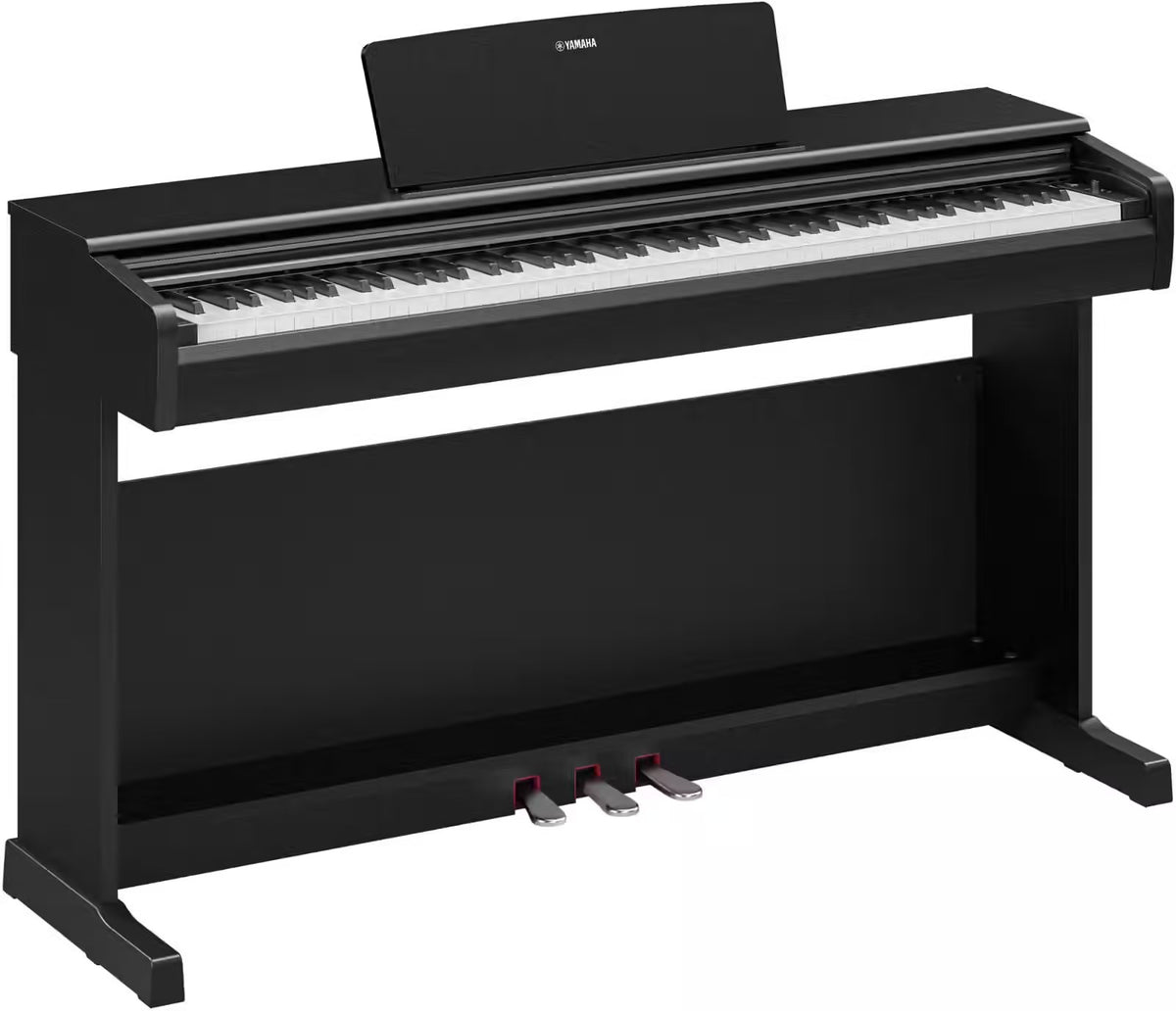 YDP-146 Noir