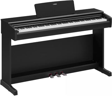 YDP-146 Black