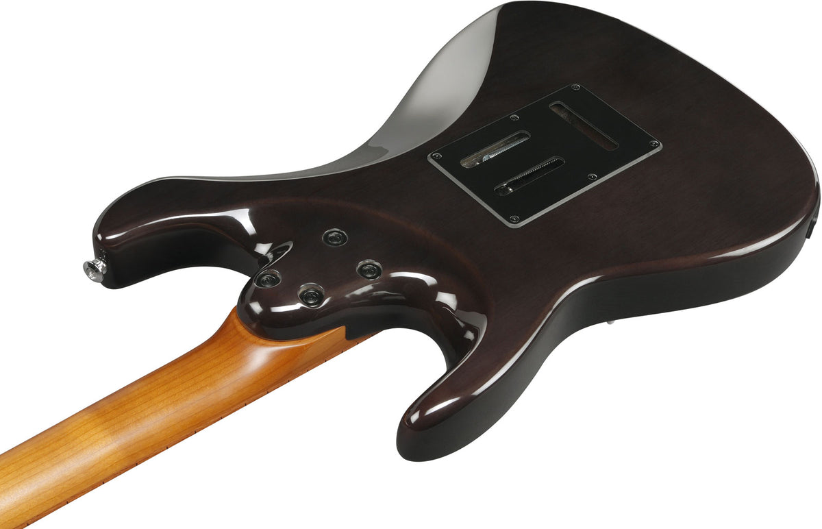 AZ22S1F-TKS Standaard transparante zwarte Sunburst